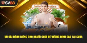 Đề Vương Đỉnh Cao - Khám phá sức hút không thể chối từ 